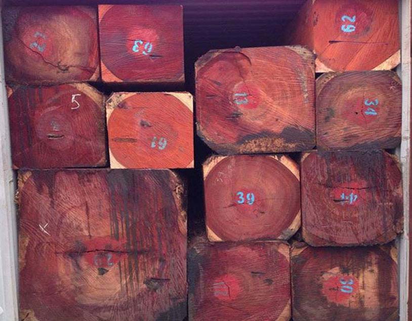 Gỗ Giáng Hương Nam Phi